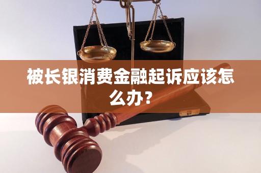 被长银消费金融起诉应该怎么办？