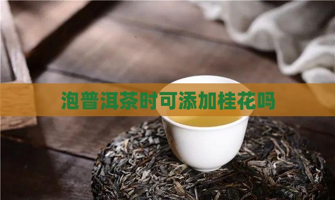 泡普洱茶时可添加桂花吗