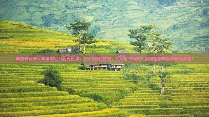 商丘去西安大明宫国家遗址公园五日游