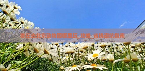 枣庄去北京动物园哪里玩_攻略_省钱避坑指南