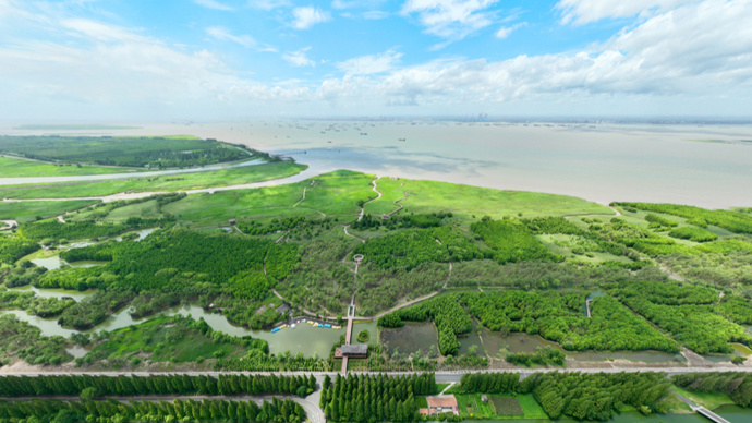 刚出炉！上海崇明成功认证“国际湿地城市”，将迎来什么发展机遇？