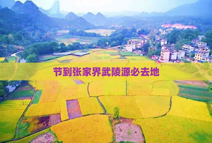 国庆节到张家界武陵源必去地